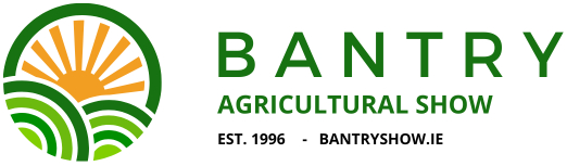 website logo